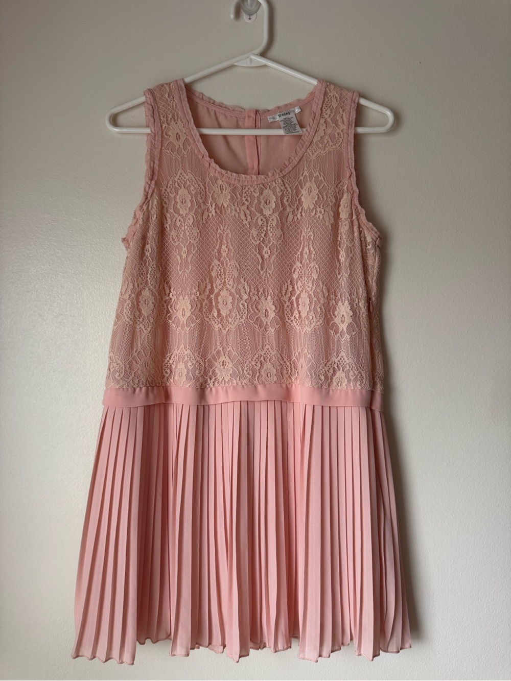Vintage Esley Sleeveless Blush Lace & Pleated Dress